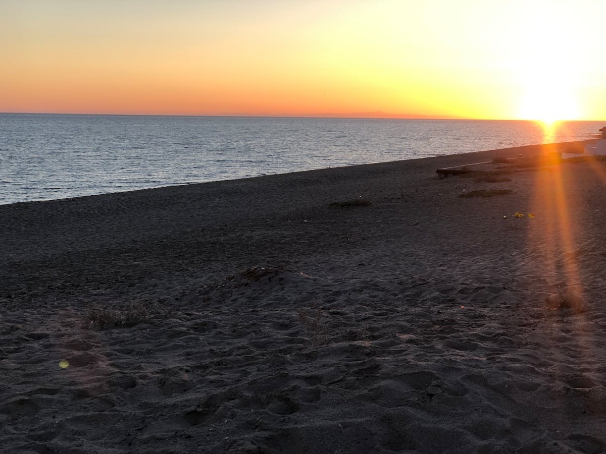 Imagen del artículo 1